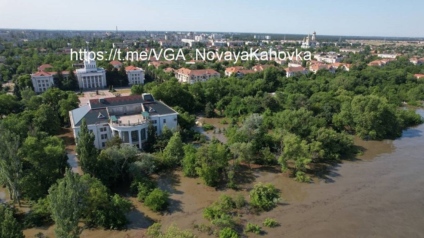 По улицам города плавают лебеди.