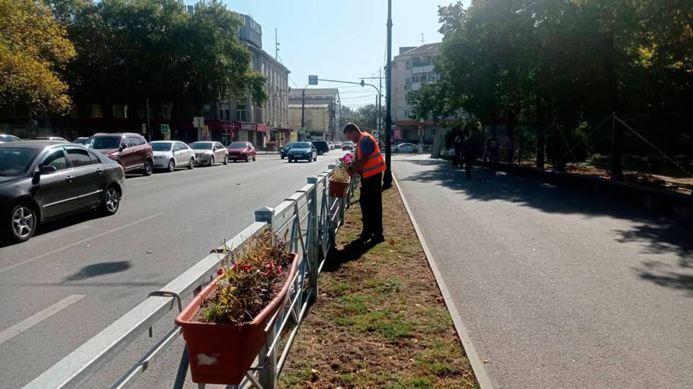 Рассаду «Горзеленхоз» города.